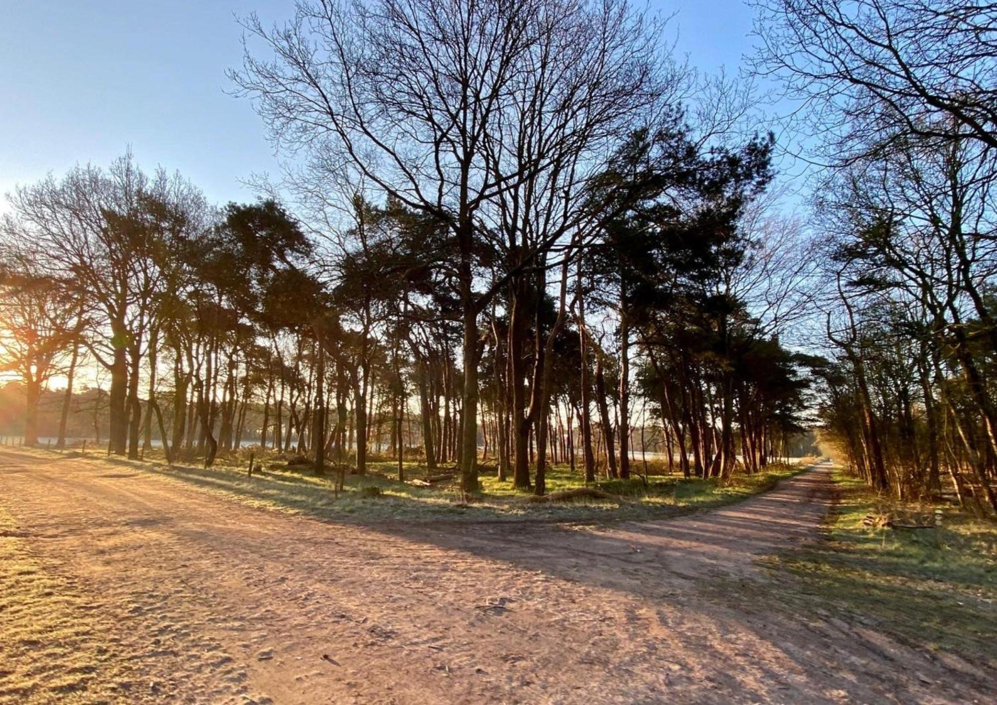 Hotspot Location, Wifi, Bed En Koffie Harmony Lägenhet Tilburg Exteriör bild
